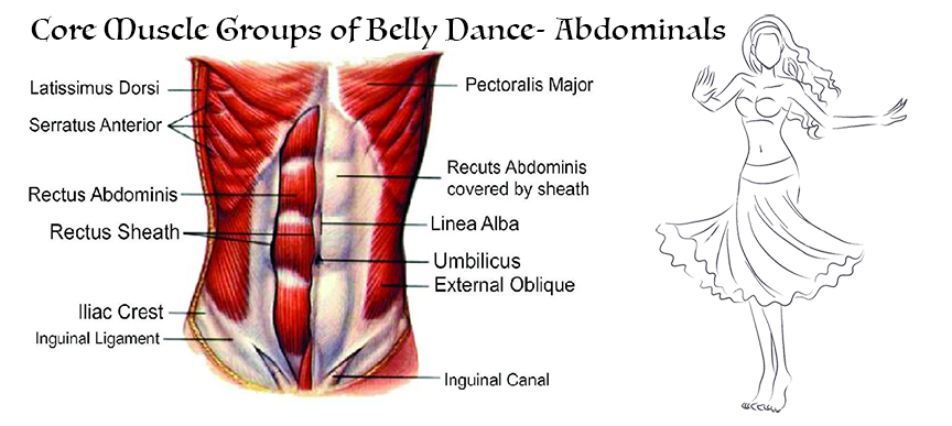 Core Muscle Groups of Belly Dance- Abdominals